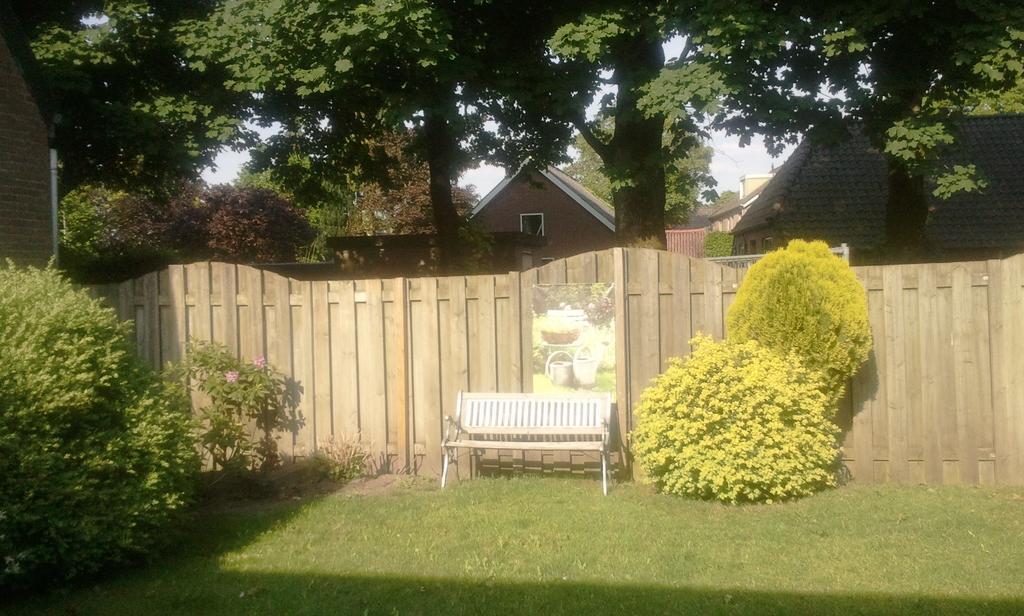 Carpe Diem Ommen Pokoj fotografie